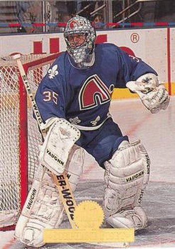 #329 Stephane Fiset - Quebec Nordiques - 1994-95 Leaf Hockey