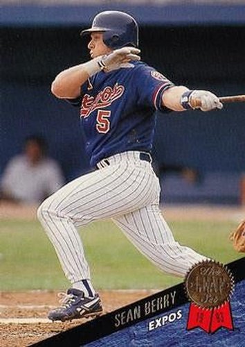 #336 Sean Berry - Montreal Expos - 1993 Leaf Baseball