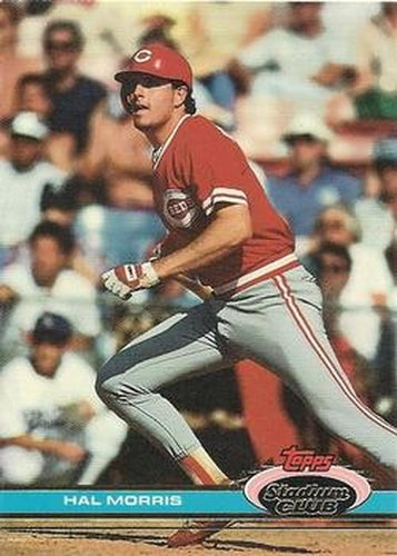 #339 Hal Morris - Cincinnati Reds - 1991 Stadium Club Baseball