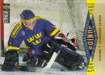 #348 Robert Borgqvist - Sweden - 1995-96 Collector's Choice Hockey