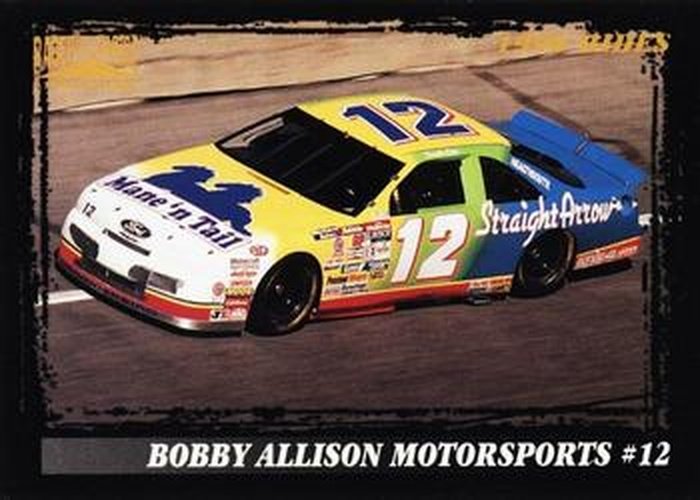 #34 Derrike Cope's Car - Bobby Allison Racing - 1996 Pinnacle Racer's Choice Racing