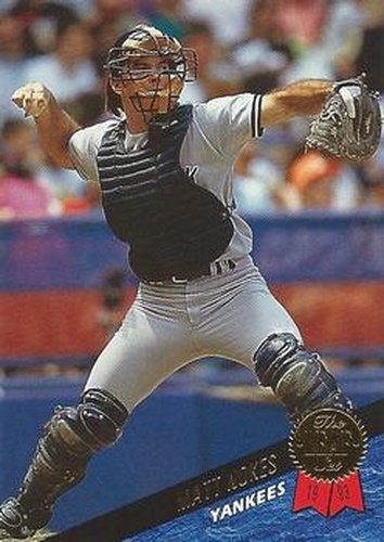#352 Matt Nokes - New York Yankees - 1993 Leaf Baseball