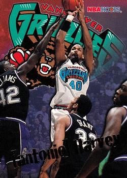 #352 Antonio Harvey - Vancouver Grizzlies - 1995-96 Hoops Basketball