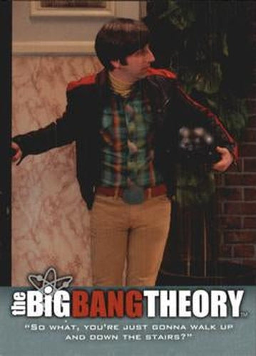 #36 "So what, you're just gonna walk up and down the s - 2013 Big Bang Theory Seasons 3 & 4