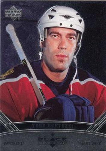 #37 Todd Bertuzzi - Florida Panthers - 2006-07 Upper Deck Black Diamond Hockey