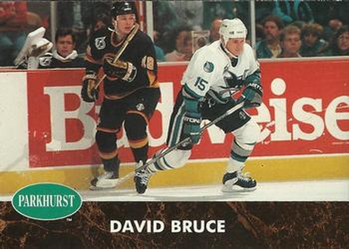 #384 David Bruce - San Jose Sharks - 1991-92 Parkhurst Hockey