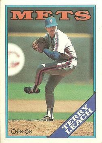 #391 Terry Leach - New York Mets - 1988 O-Pee-Chee Baseball
