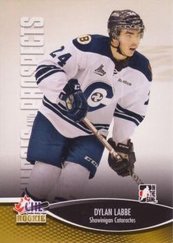 #43 Dylan Labbe - Shawinigan Cataractes - 2012-13 In The Game Heroes and Prospects Hockey