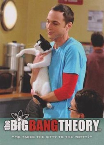 #44 "He takes the kitty to the potty?" - 2013 Big Bang Theory Seasons 3 & 4