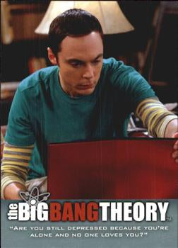 #47 "Are you still depressed because you're alone and - 2013 Big Bang Theory Seasons 3 & 4