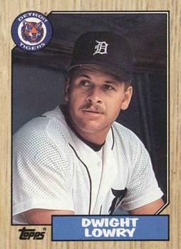 #483 Dwight Lowry - Detroit Tigers - 1987 Topps Baseball