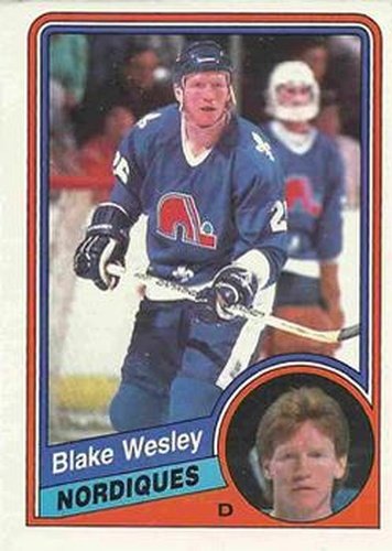 #294 Blake Wesley - Quebec Nordiques - 1984-85 O-Pee-Chee Hockey