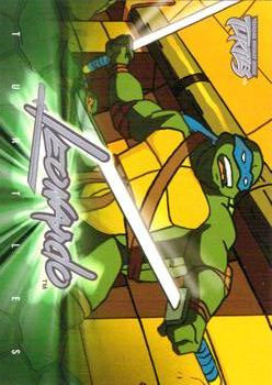 #48 Character Overview - 2003 Fleer Teenage Mutant Ninja Turtles