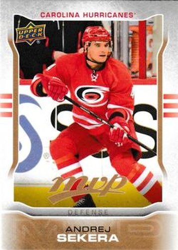 #48 Andrej Sekera - Carolina Hurricanes - 2014-15 Upper Deck MVP Hockey