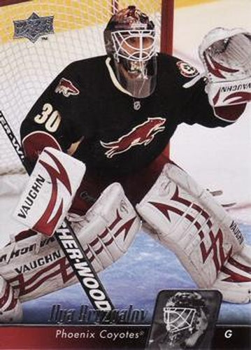 #48 Ilya Bryzgalov - Phoenix Coyotes - 2010-11 Upper Deck Hockey
