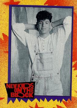 #48c Did You Know... - 1989 Topps New Kids on the Block