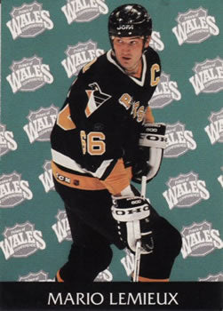 #462 Mario Lemieux - Pittsburgh Penguins - 1992-93 Parkhurst Hockey