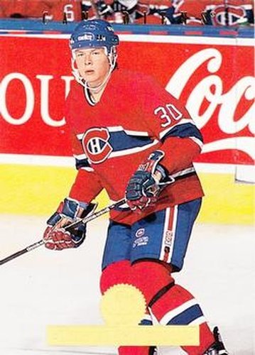 #492 Turner Stevenson - Montreal Canadiens - 1994-95 Leaf Hockey