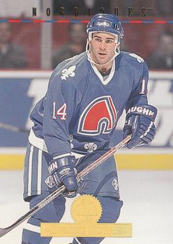 #494 Dwayne Norris - Quebec Nordiques - 1994-95 Leaf Hockey