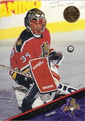#371 John Vanbiesbrouck - Florida Panthers - 1993-94 Leaf Hockey