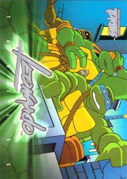 #49 Renaissance Namesake - 2003 Fleer Teenage Mutant Ninja Turtles