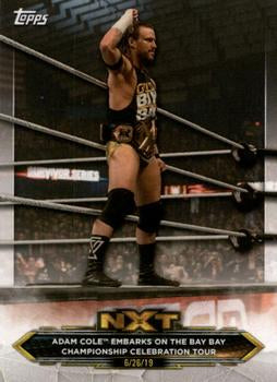 #4 Adam Cole - 2020 Topps WWE NXT Wrestling