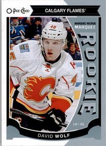 #505 David Wolf - Calgary Flames - 2015-16 O-Pee-Chee Hockey