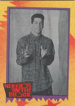#50b Did You Know... - 1989 Topps New Kids on the Block
