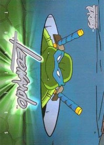 #52 Weaknesses - 2003 Fleer Teenage Mutant Ninja Turtles