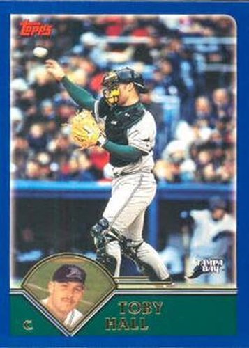 #534 Toby Hall - Tampa Bay Devil Rays - 2003 Topps Baseball