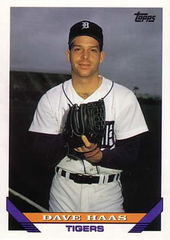 #536 Dave Haas - Detroit Tigers - 1993 Topps Baseball