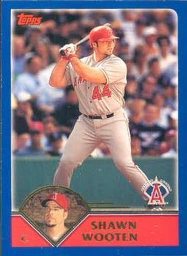 #576 Shawn Wooten - Anaheim Angels - 2003 Topps Baseball