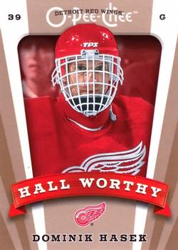 #650 Dominik Hasek - Detroit Red Wings - 2006-07 O-Pee-Chee Hockey