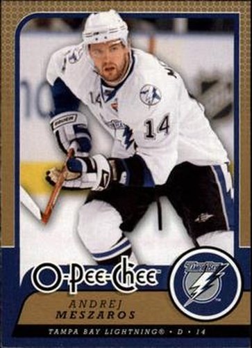 #685 Andrej Meszaros - Tampa Bay Lightning - 2008-09 O-Pee-Chee Hockey