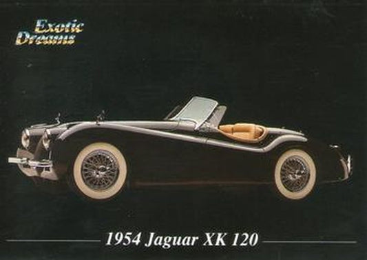 #69 1954 Jaguar XK 120 - 1992 All Sports Marketing Exotic Dreams