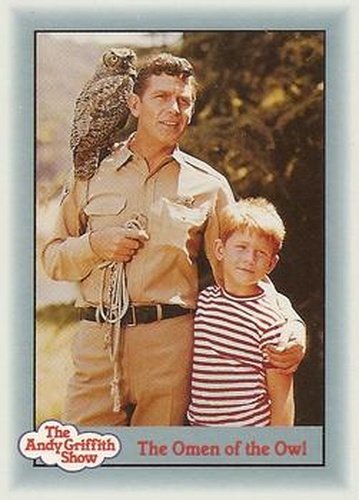 #71 The Omen of the Owl - 1990-91 Pacific The Andy Griffith Show