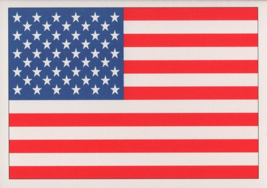 #737 American Flag - 1991 Score Baseball