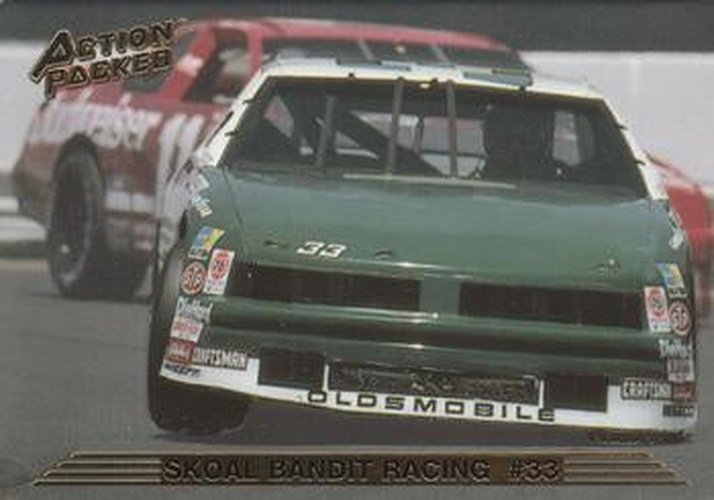 #74 Harry Gant's Car - Leo Jackson Motorsports - 1993 Action Packed Racing