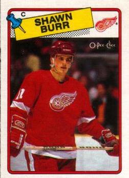 #78 Shawn Burr - Detroit Red Wings - 1988-89 O-Pee-Chee Hockey