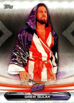 #79 Drew Gulak - 2019 Topps WWE RAW Wrestling