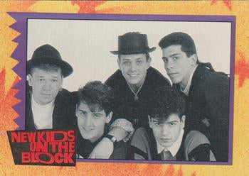 #13a NKOTB Quiz! Question #3 - 1989 Topps New Kids on the Block