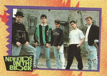 #3c Setting Records! - 1989 Topps New Kids on the Block