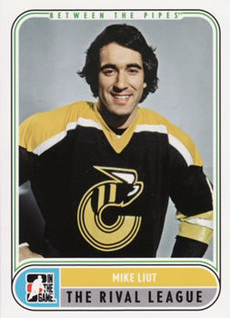 #99 Mike Liut - Cincinnati Stingers - 2007-08 In The Game Between the Pipes Hockey