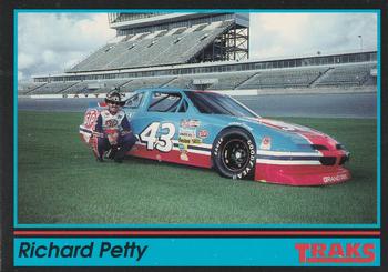 #85 Richard Petty - Petty Enterprises - 1991 Traks Racing