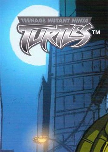 #87 Puzzle A Piece 3 - 2003 Fleer Teenage Mutant Ninja Turtles