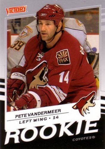 #234 Peter Vandermeer - Phoenix Coyotes - 2008-09 Upper Deck Victory Hockey