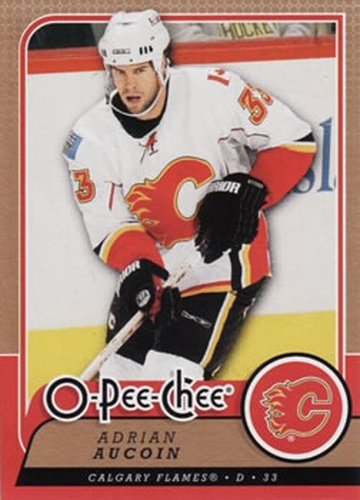 #255 Adrian Aucoin - Calgary Flames - 2008-09 O-Pee-Chee Hockey
