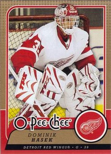 #290 Dominik Hasek - Detroit Red Wings - 2008-09 O-Pee-Chee Hockey