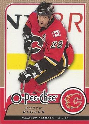 #352 Robyn Regehr - Calgary Flames - 2008-09 O-Pee-Chee Hockey