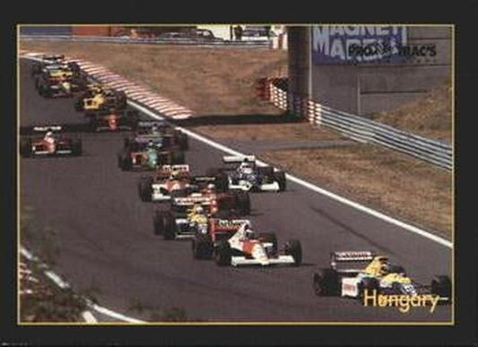 #90 Hungary - 1991 ProTrac's Formula One Racing